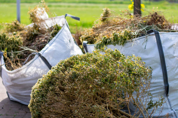 Best Same-Day Junk Removal Services  in Horseshoe Bay, TX